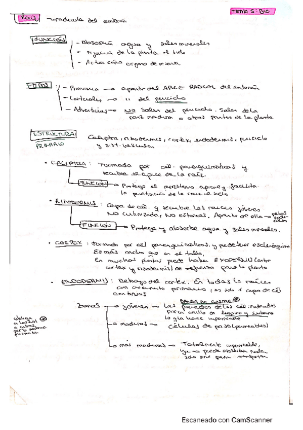 Miniatura del documento CamScanner-06-12-2020-16.pdf