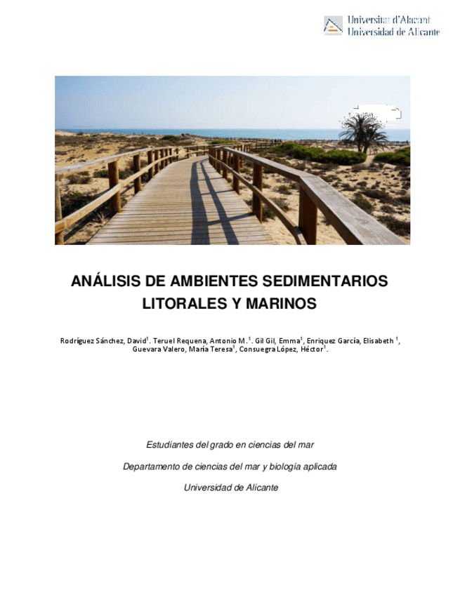 Miniatura del documento Informe.pdf