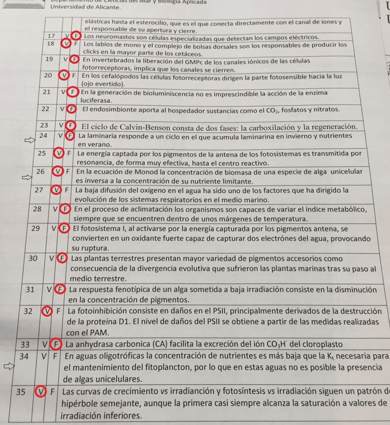 Miniatura del documento PHOTO-2019-03-17-17-07-58.jpg