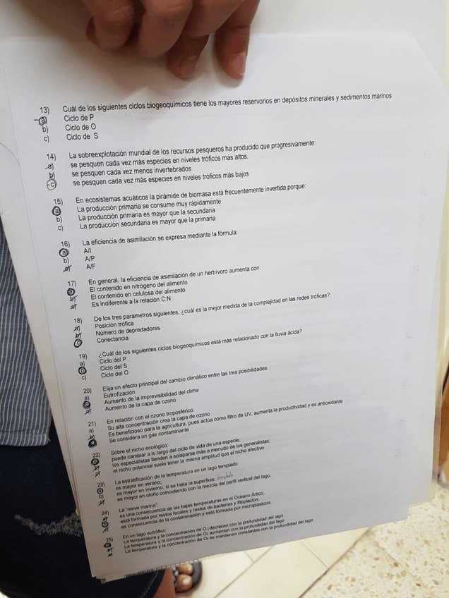 Miniatura del documento PHOTO-2019-06-26-10-59-13.jpg