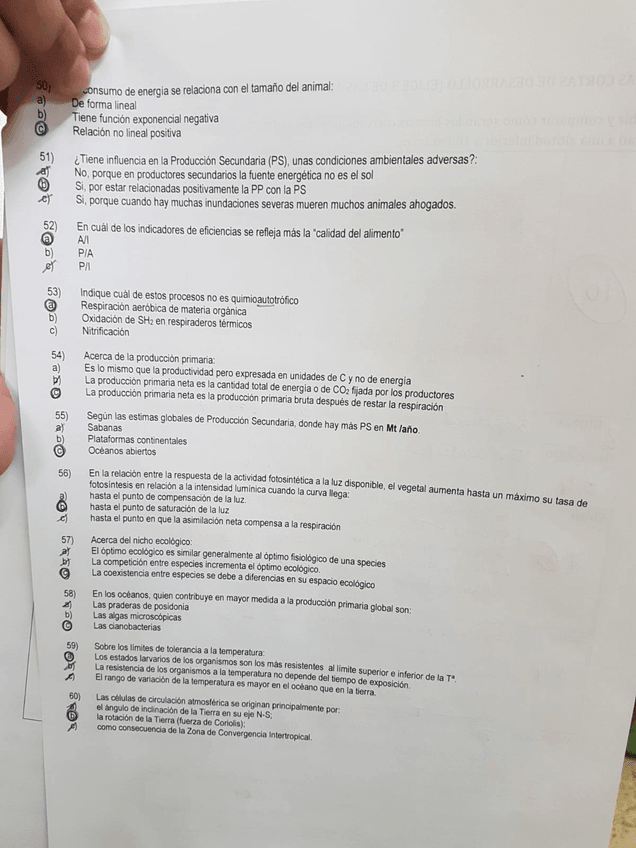 Miniatura del documento PHOTO-2019-06-26-10-59-15.jpg