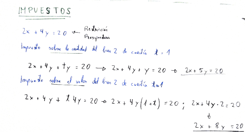 Miniatura del documento Impuestos.pdf