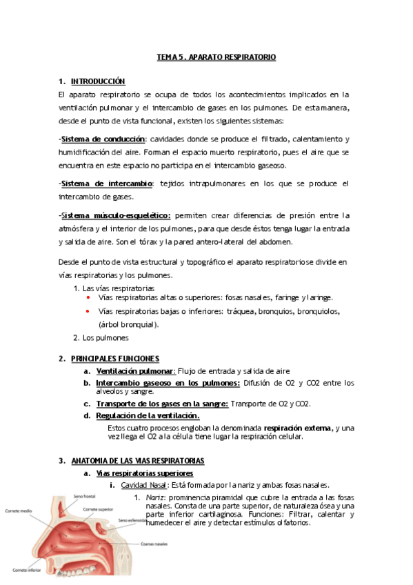 Miniatura del documento TEMA-5-Aparato-Respiratorio.pdf