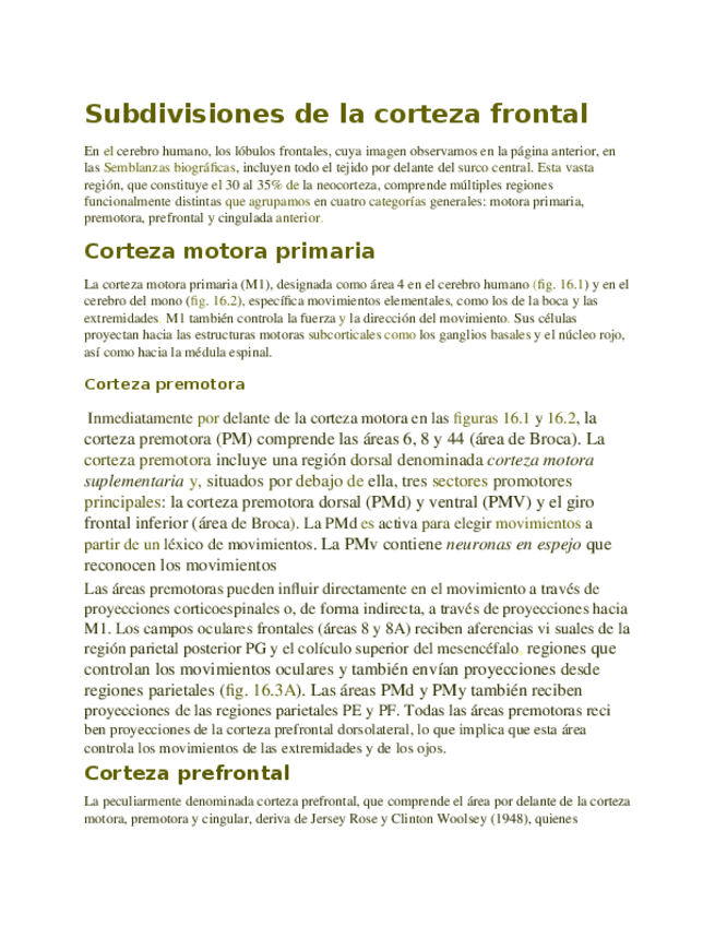 Miniatura del documento segundo-parcial.docx
