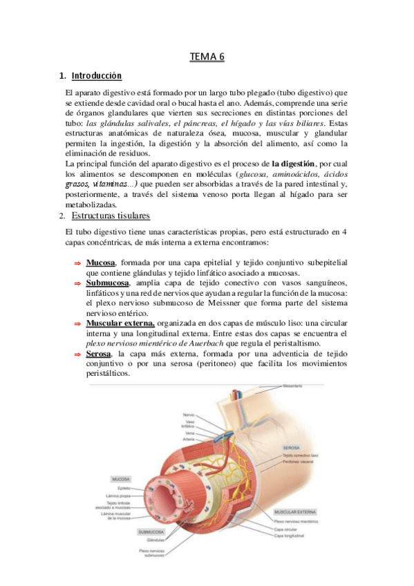Miniatura del documento TEMA-6.pdf