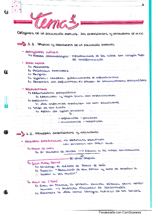 Miniatura del documento resumenes-temas-ANEE.pdf