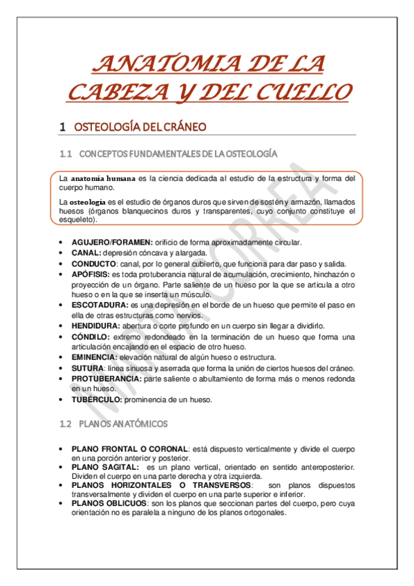 Miniatura del documento CRANEO-OSEO.pdf