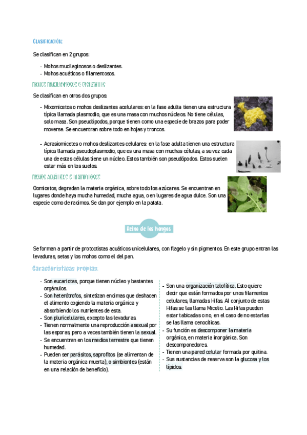 Miniatura del documento BIOLOGIA2-15.pdf