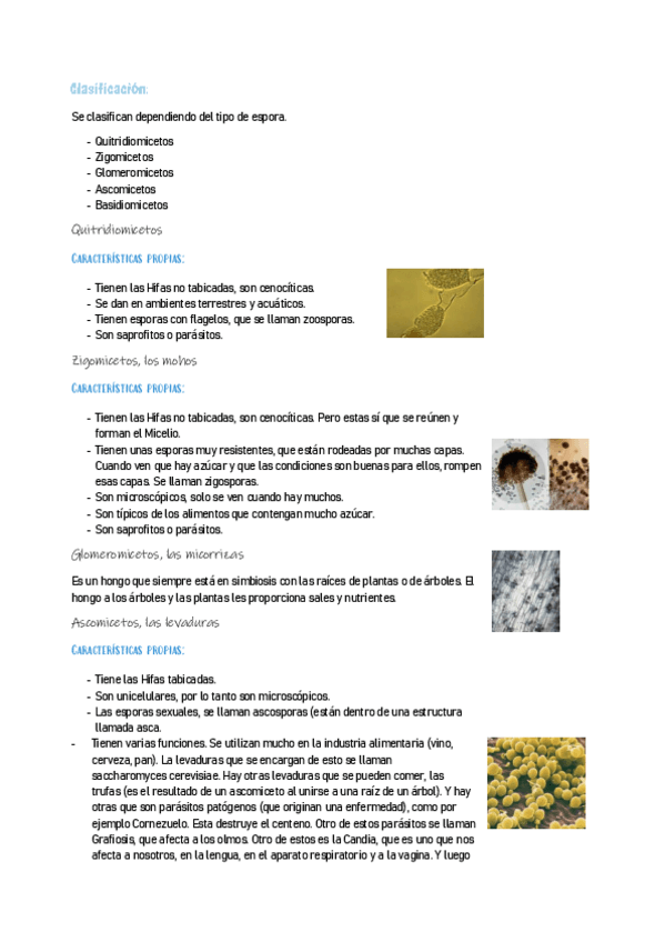 Miniatura del documento BIOLOGIA2-16.pdf
