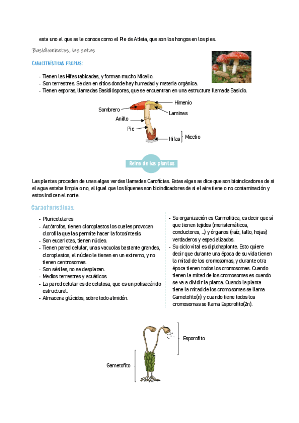 Miniatura del documento BIOLOGIA2-17.pdf