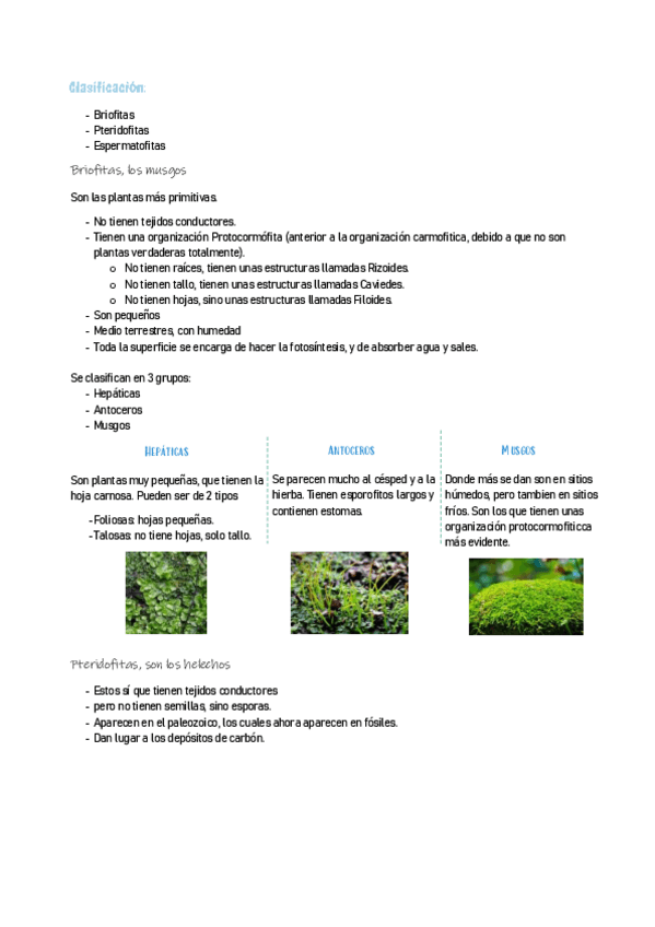 Miniatura del documento BIOLOGIA2-18.pdf