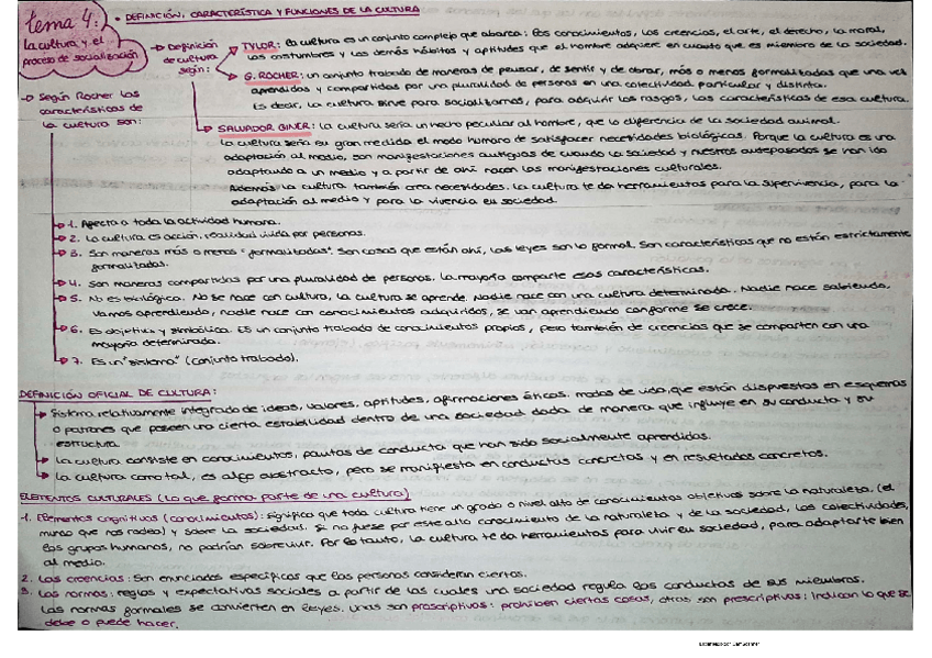 Miniatura del documento ESQUEMA-TEMA-4-SOCIOLOGIA.pdf