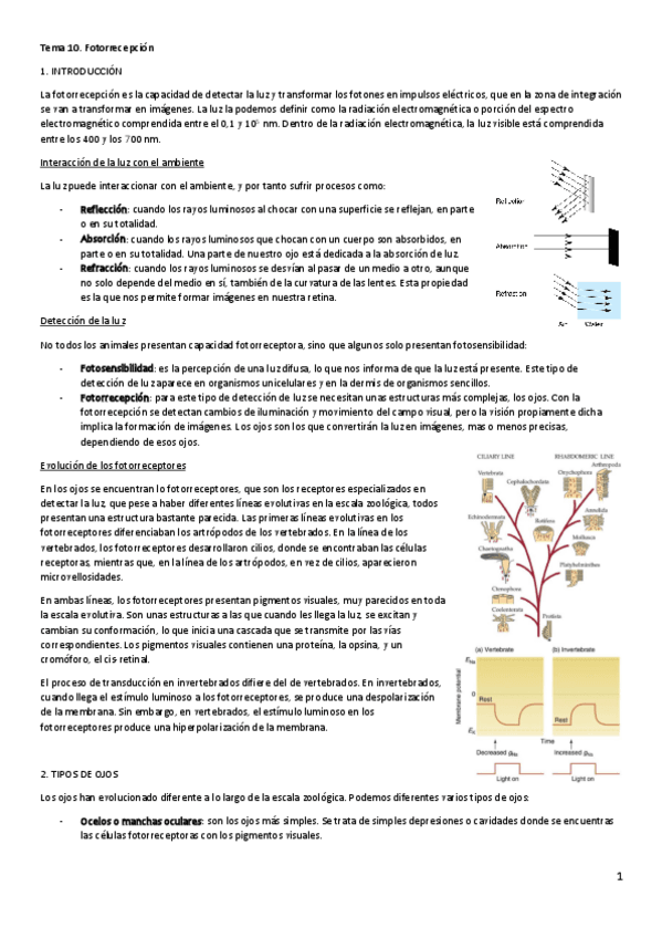 Miniatura del documento FAI-Tema-10.pdf