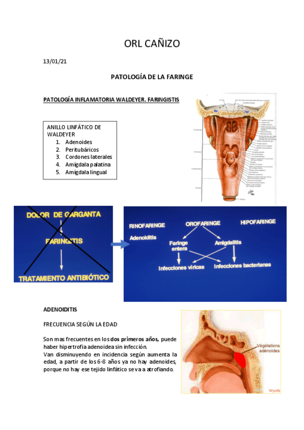 Miniatura del documento ORL-CANIZO.pdf