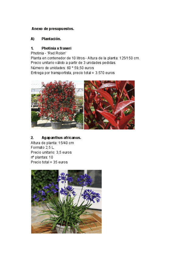 Miniatura del documento ANEJOS.pdf