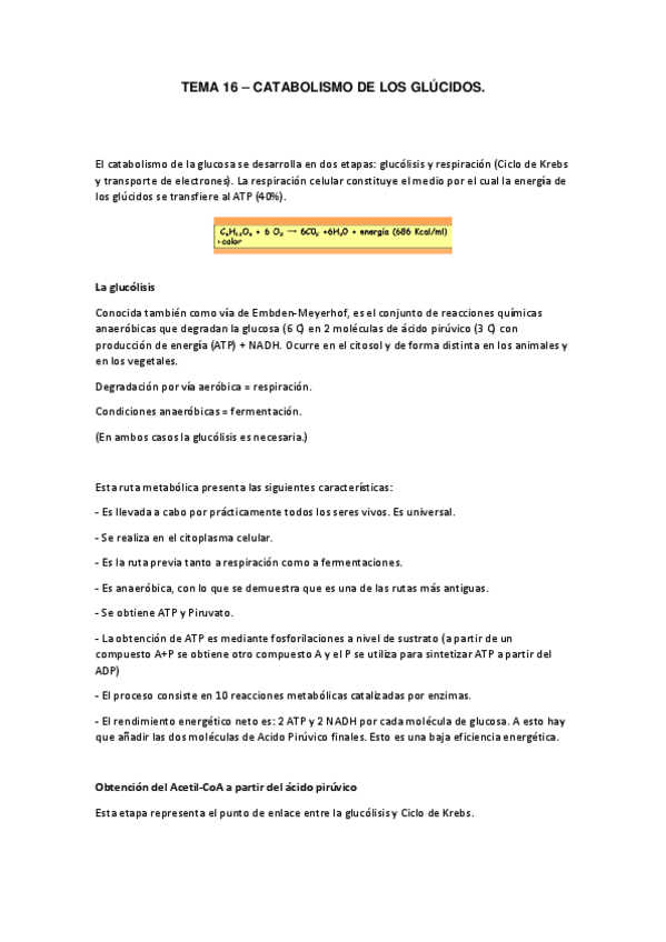 Miniatura del documento TEMA-16.pdf