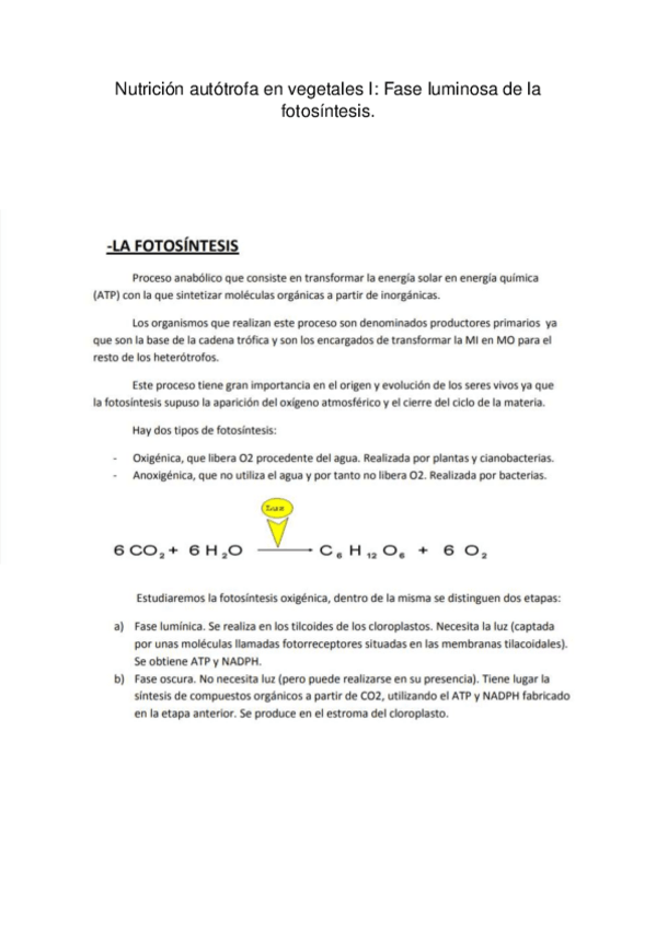 Miniatura del documento TEMA-18-final.pdf