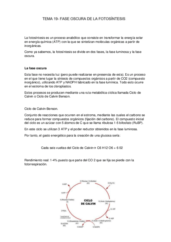 Miniatura del documento TEMA-19-final.pdf