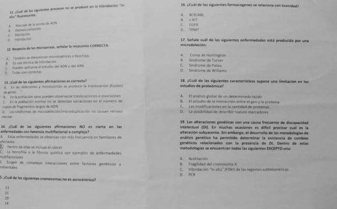 Miniatura del documento 2.jpg