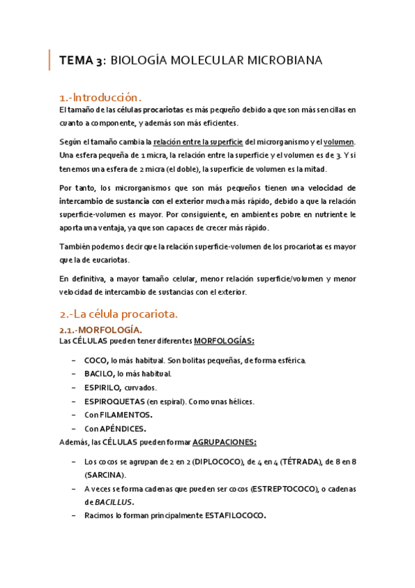 Miniatura del documento TEMA-3-MICROBIOLOGIA.pdf