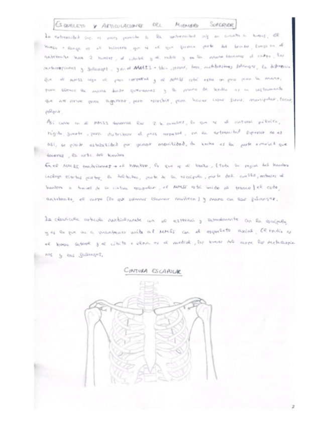 Miniatura del documento 8.pdf