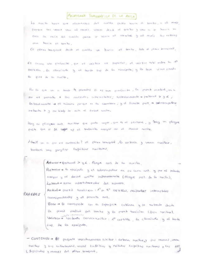 Miniatura del documento 11.pdf