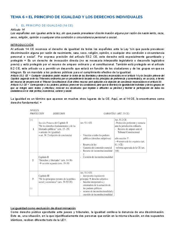 Miniatura del documento CONSTI-T6-PP-de-igualdad-y-derechos-individuales.pdf