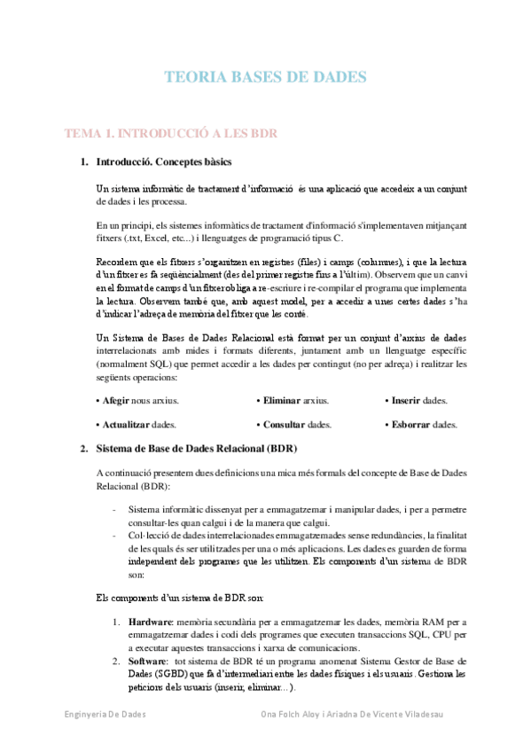 Miniatura del documento BDRApuntsTEORIA.pdf