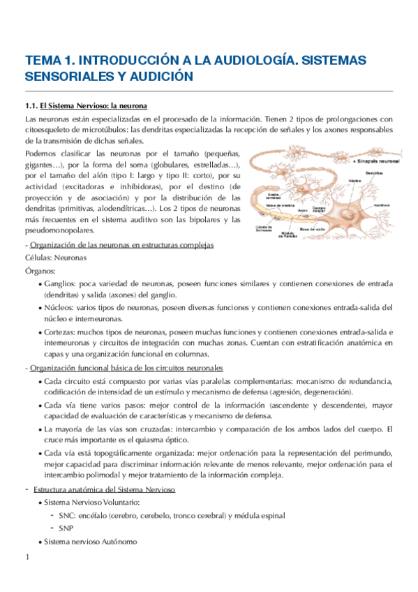 Miniatura del documento Apuntes.pdf