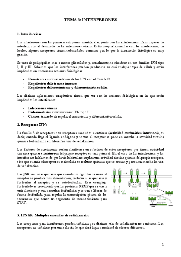 Miniatura del documento TEMA-3-3.pdf