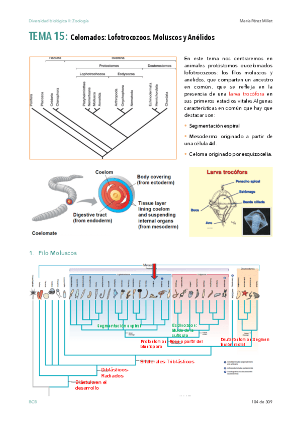 Miniatura del documento T15-Y-16-DIVERSIDAD.pdf