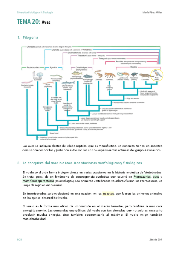 Miniatura del documento t20.pdf