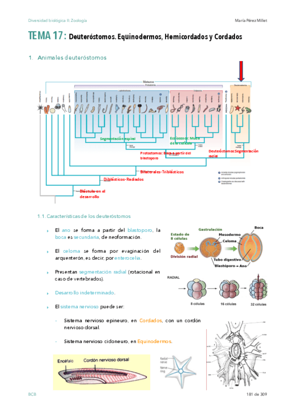 Miniatura del documento T17-y-18.pdf