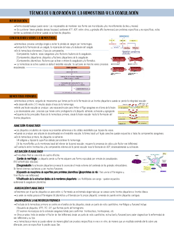 Miniatura del documento T5ValoracionHemostasiayCoagulacion-hema.pdf