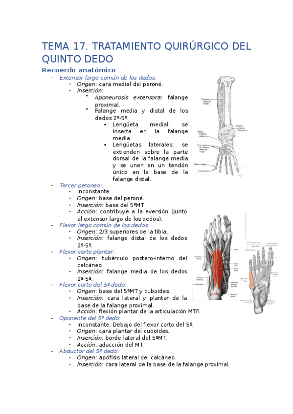 Miniatura del documento TEMA17.pdf