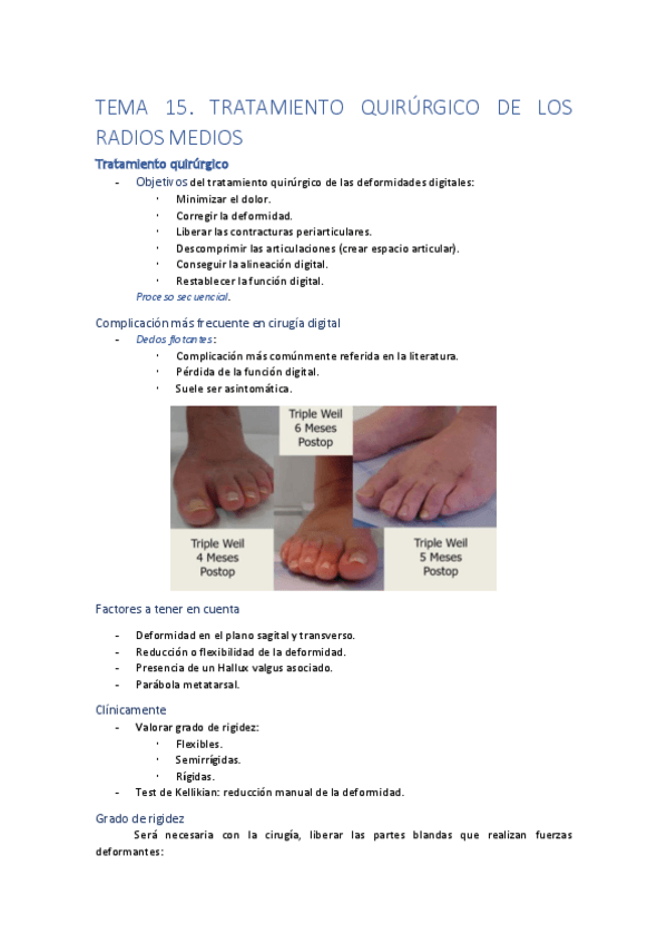 Miniatura del documento TEMA15.pdf