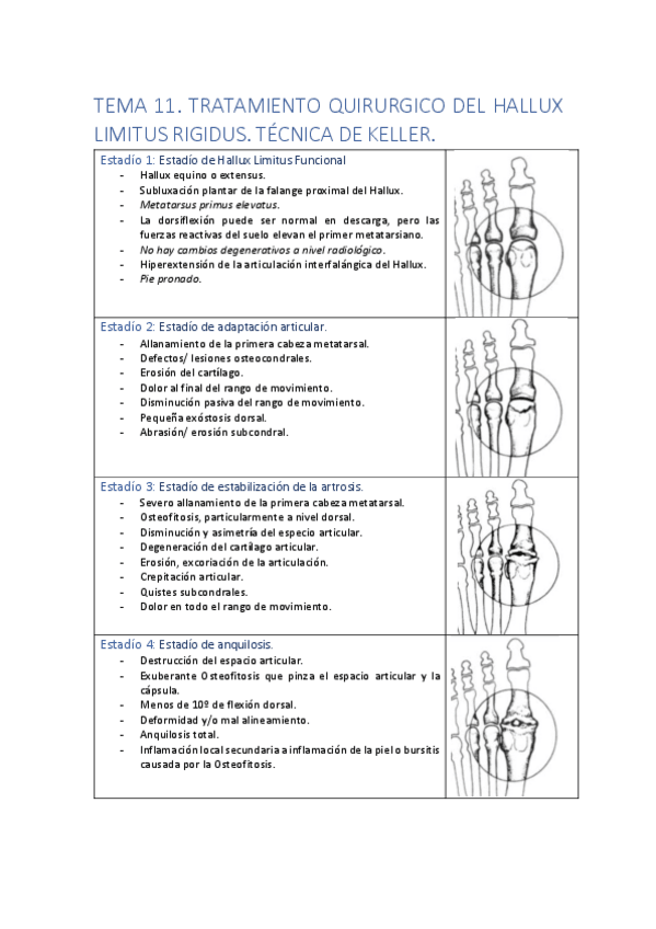 Miniatura del documento TEMA11.pdf