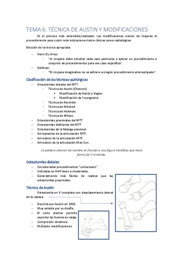 Miniatura del documento TEMA6.pdf