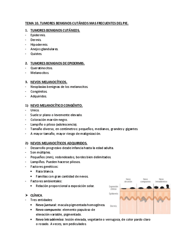 Miniatura del documento TEMA-10.pdf