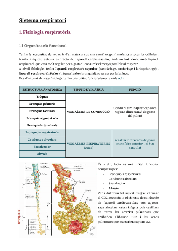 Miniatura del documento T1.pdf