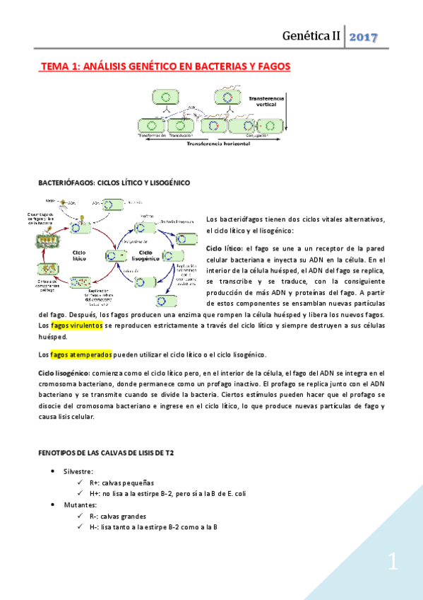 Miniatura del documento TEMA 1 mio.pdf