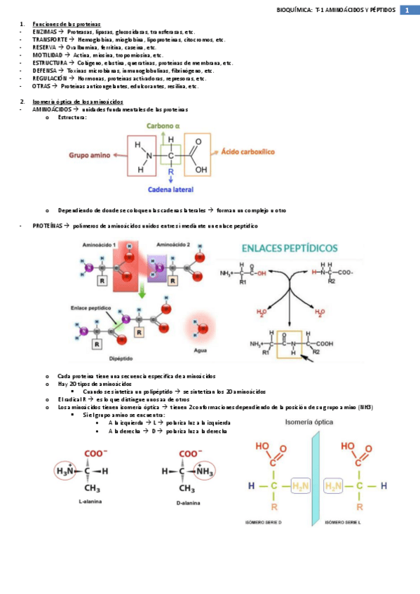 Miniatura del documento Temario-Bioquimica-Completo.pdf