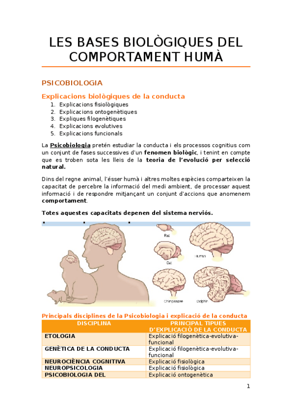 Miniatura del documento 2-LES-BASES-BIOLOGIQUES-DEL-COMPORTAMENT-HUMA.docx