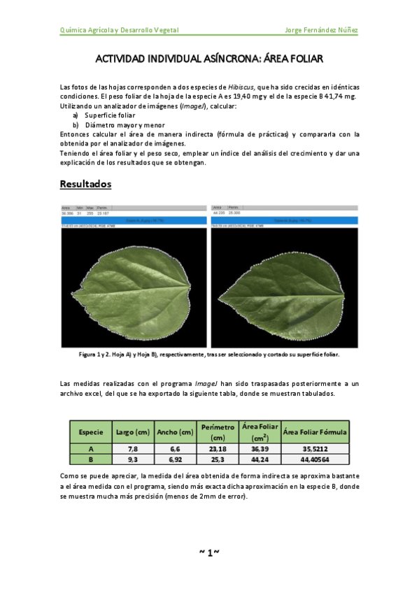 Miniatura del documento FernandezAreafoliar.pdf