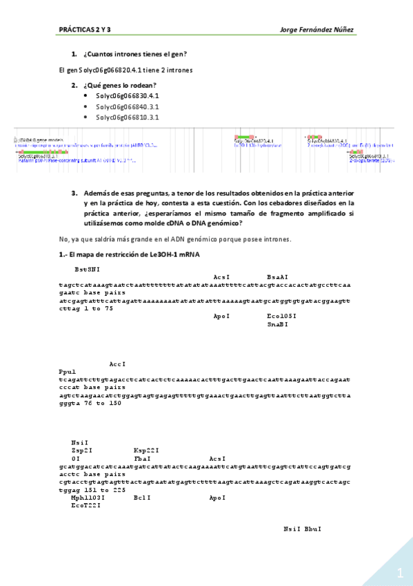 Miniatura del documento Practica-2-y-3.pdf