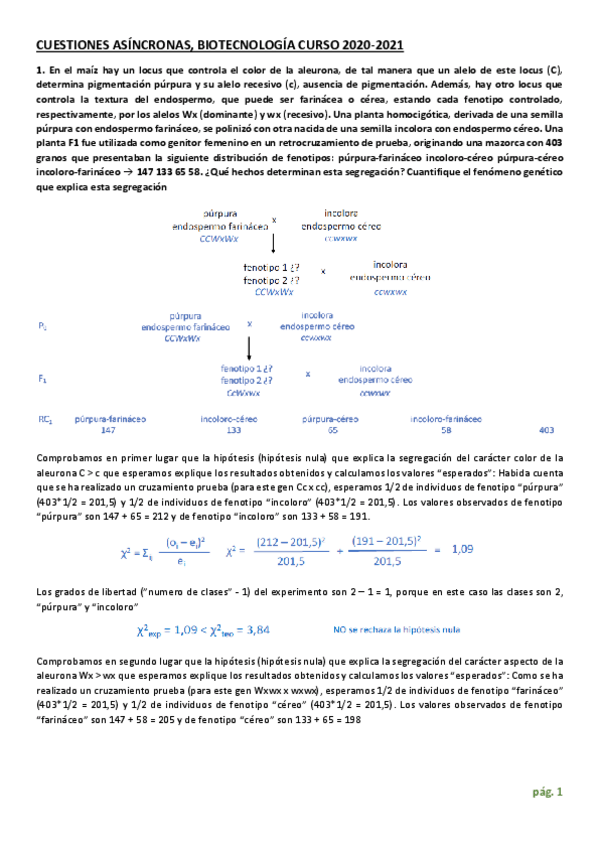 Miniatura del documento CUESTIONES-ASINCRONAS-AUTOCORRECCION-JORGE-FERNANDEZ-NUNEZ.pdf