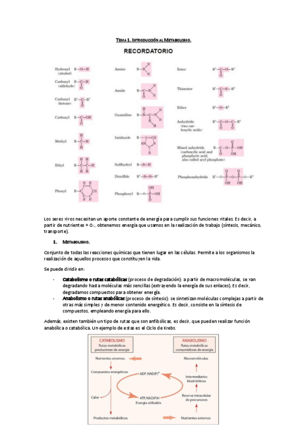 Miniatura del documento Tema 1. Introducción al metabolismo.pdf