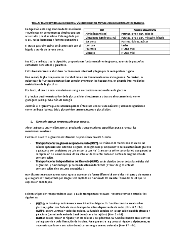 Miniatura del documento Tema 5. Transporte celular de glucosa. Vías generales del metabolismo de los HC.pdf