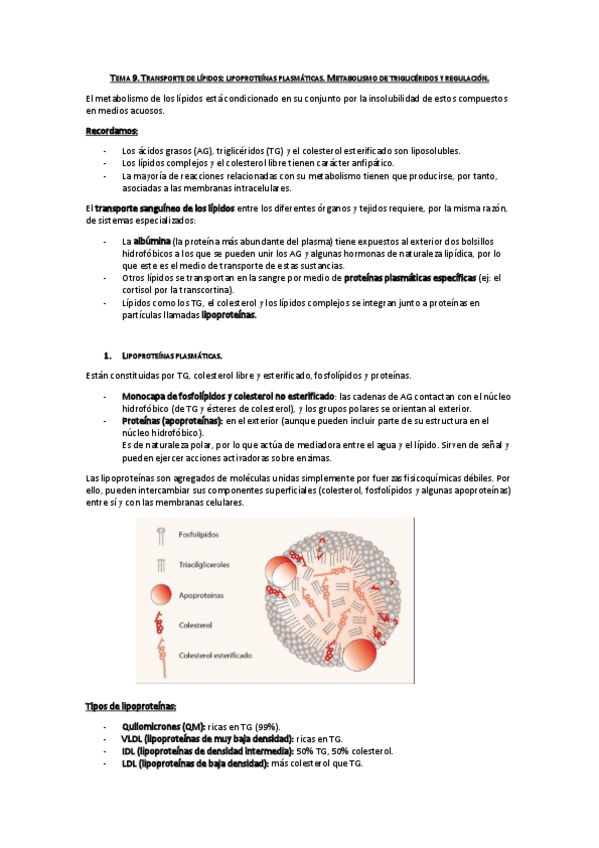 Miniatura del documento Tema 9. Lipoproteínas plasmática y Metabolismo de triglicéridos.pdf