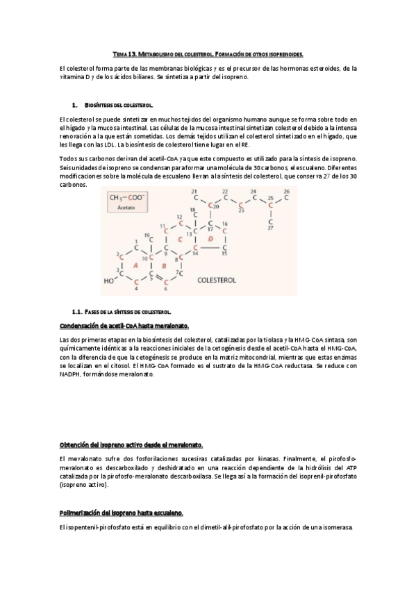 Miniatura del documento Tema 13. Metabolismo del colesterol. Formación de otros isoprenoides.pdf
